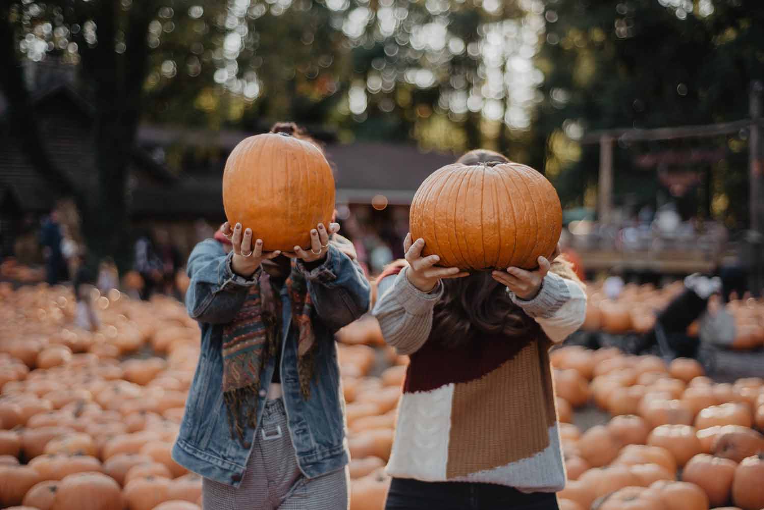 Pumpkin Patch Halloween Photoshoot